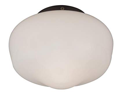 1 Light Outdoor Schoolhouse Light Kit in Flat Black