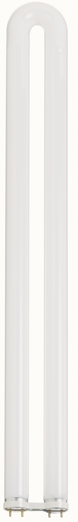 31 Watt; T8; U-Bend Fluorescent; 3500K Neutral White; 82 CRI; Medium Bi Pin base