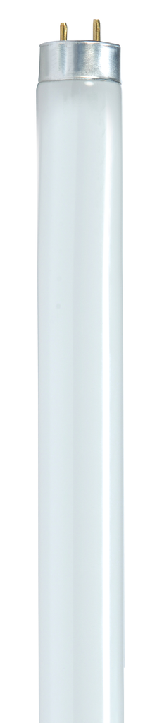 25 Watt; T8; Fluorescent; 5000K Natural Light; 82 CRI; Medium Bi Pin base