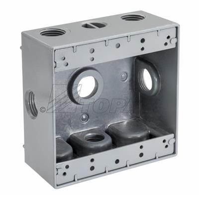 3/4" 6 Hole Double Gang Weatherproof Box