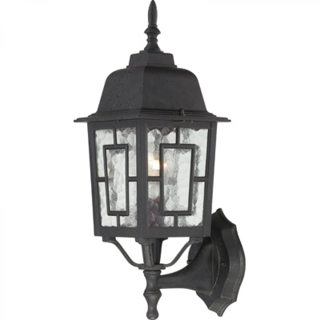 Banyan - 1 Light 17" Wall Lantern with Clear Water Glass - Textured Black Finish