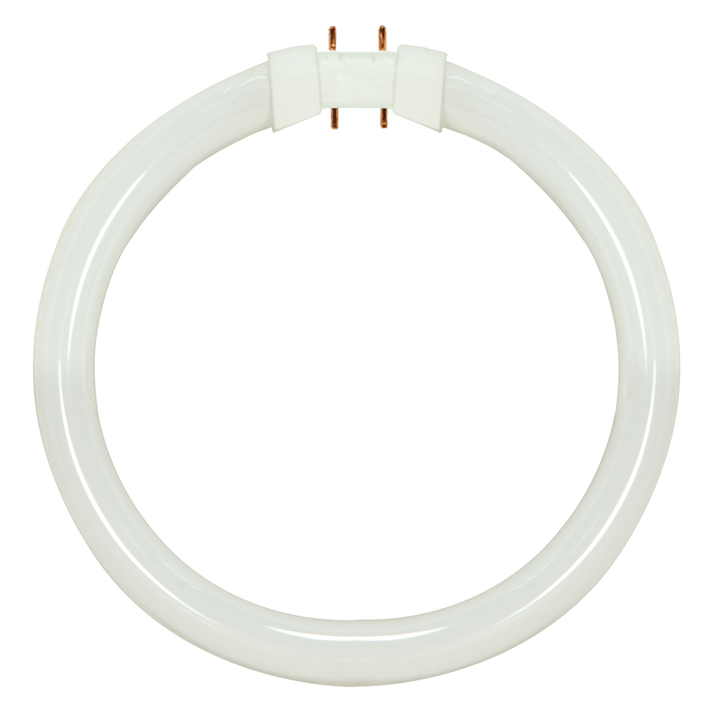 22 Watt; T5; Circline Fluorescent; 3000K Warm White; 82 CRI; 2GX13 (4-Pin) base