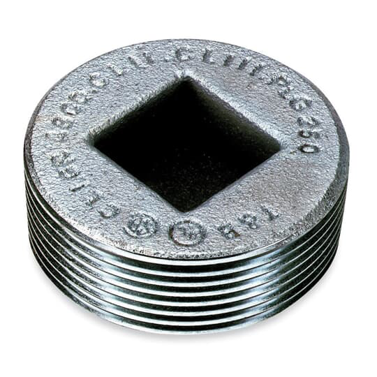 2in RECESSED PLUG, W/FLUSH HEAD,XP