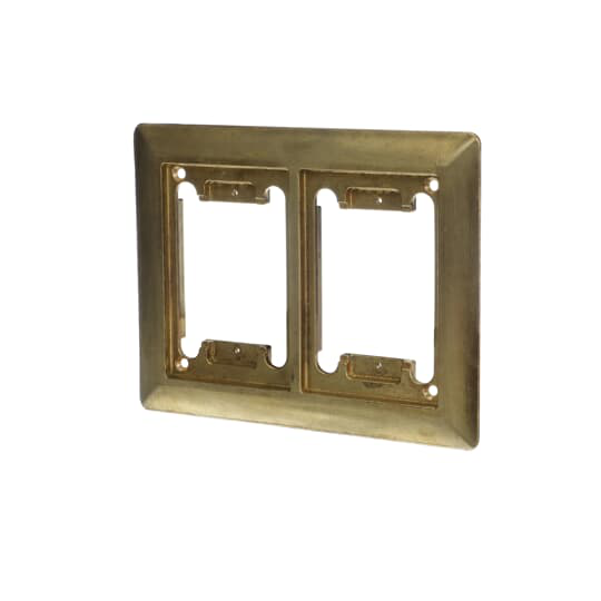 2 GANG CARPET PLT NPS PLG BRASS