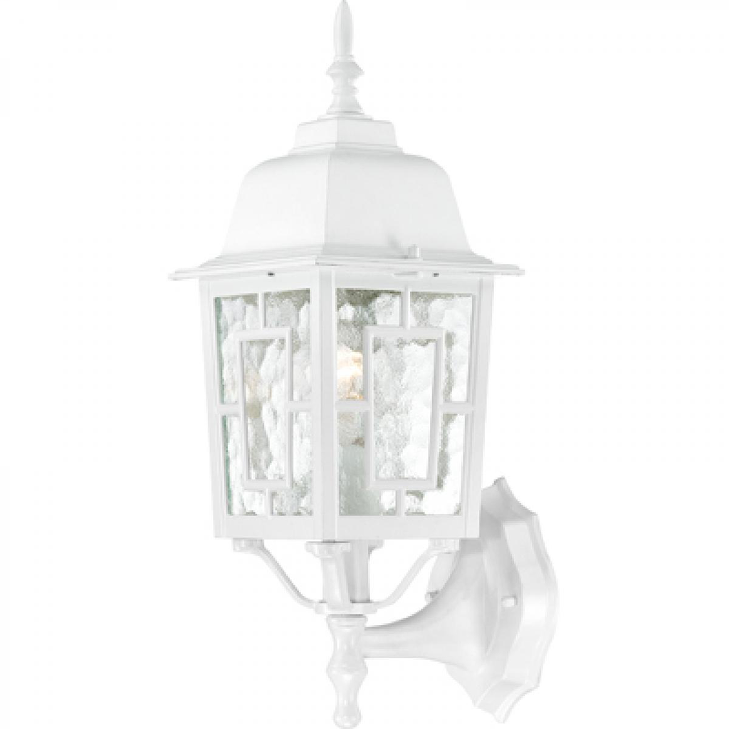 Banyan - 1 Light 17" Wall Lantern with Clear Water Glass - White Finish