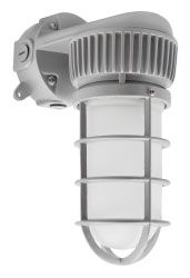 60171, LED Jelly Jar Light Fixture
