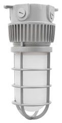 60167, LED Jelly Jar Light Fixture
