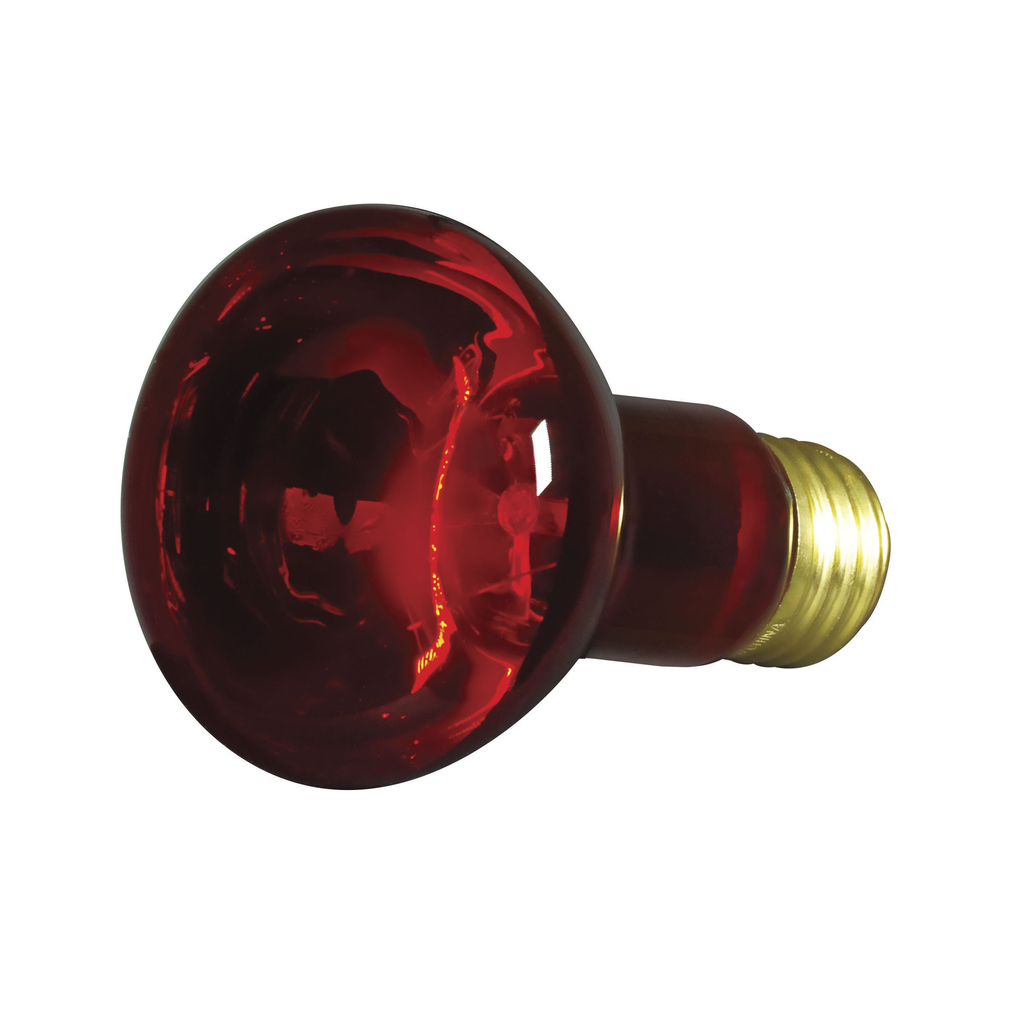 50 Watt R20 Incandescent; Red; 2000 Average rated hours; Medium base; 130 Volt