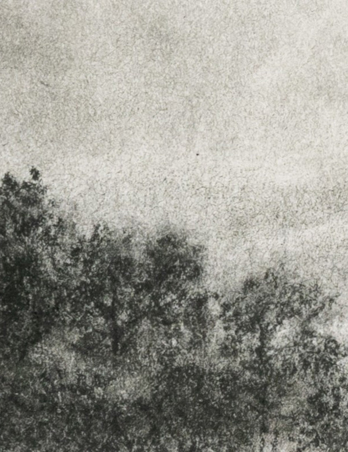 Hill Country Study I Wall Art by Aileen Fitzgerald