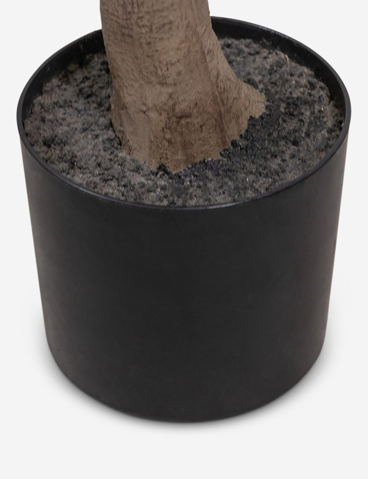 Faux Aralia Tree