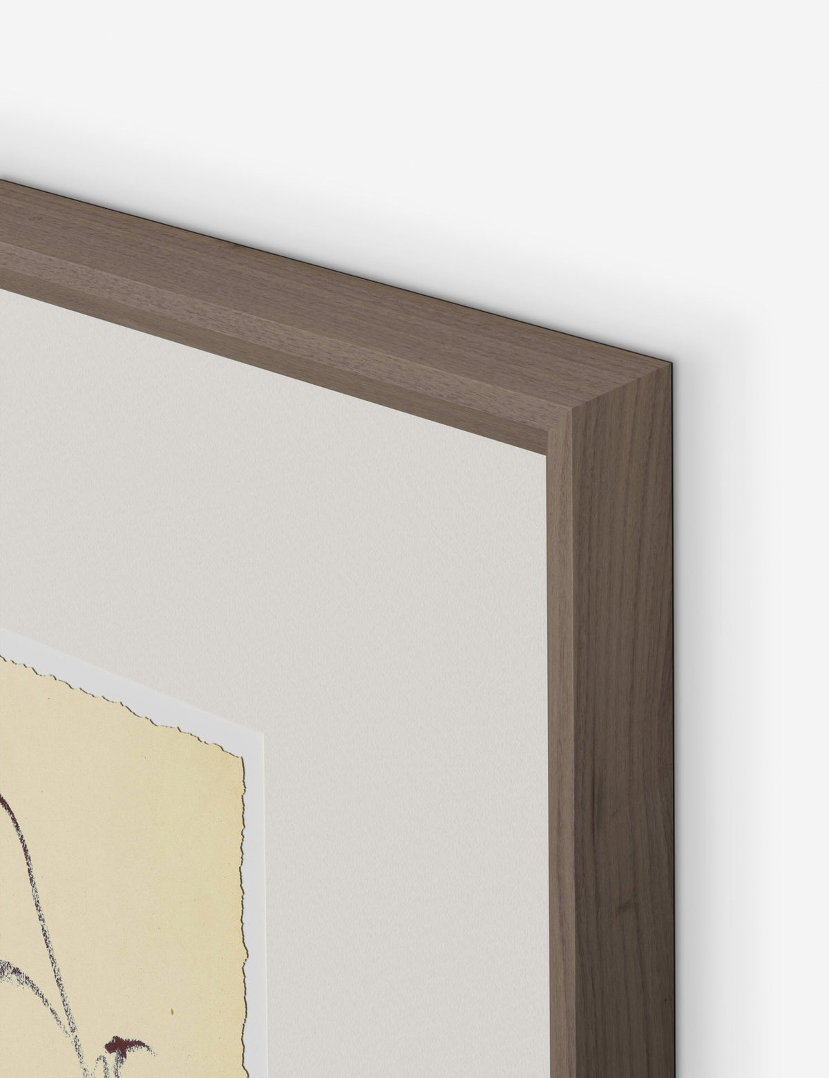 Meadow Rue No. 4 Wall Art by Shaina Page