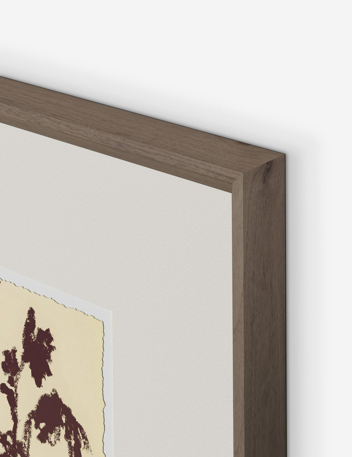 Meadow Rue No. 5 Wall Art by Shaina Page