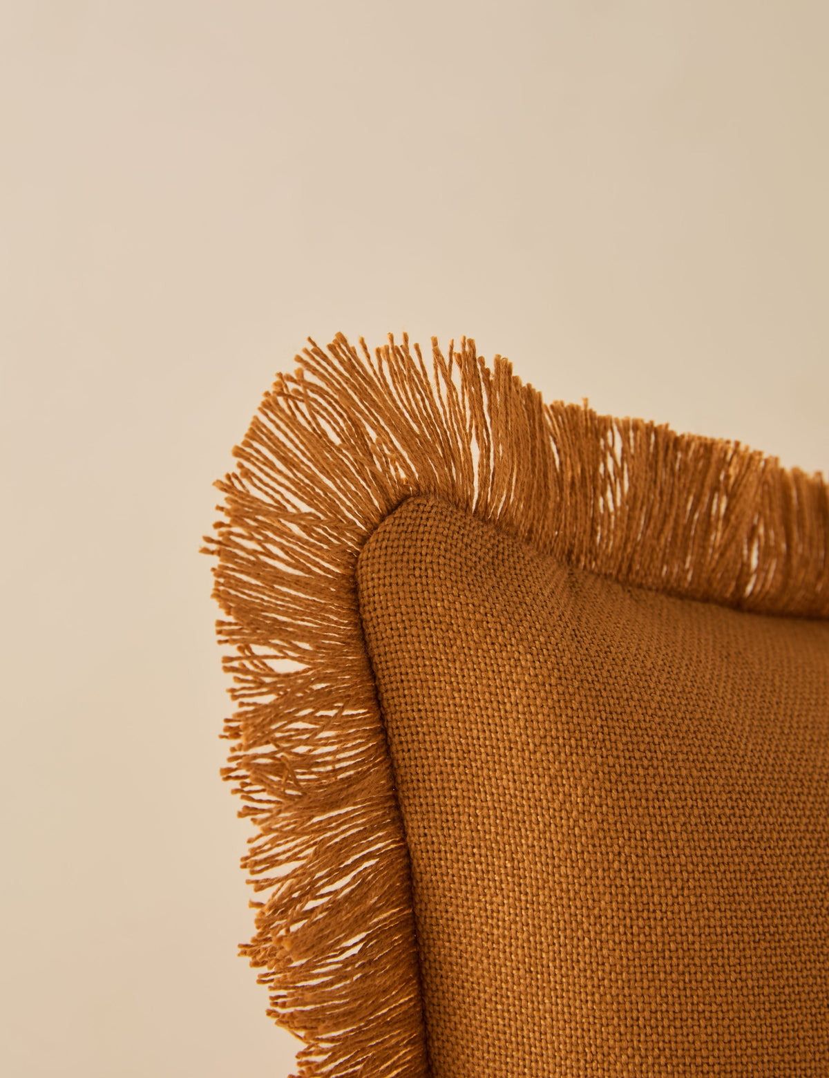 Bosmont Indoor / Outdoor Pillow