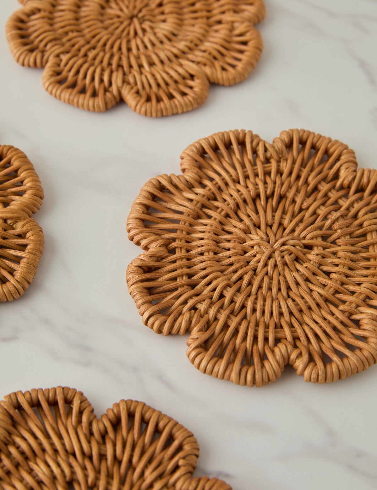 Wiley Coasters (Set of 4)