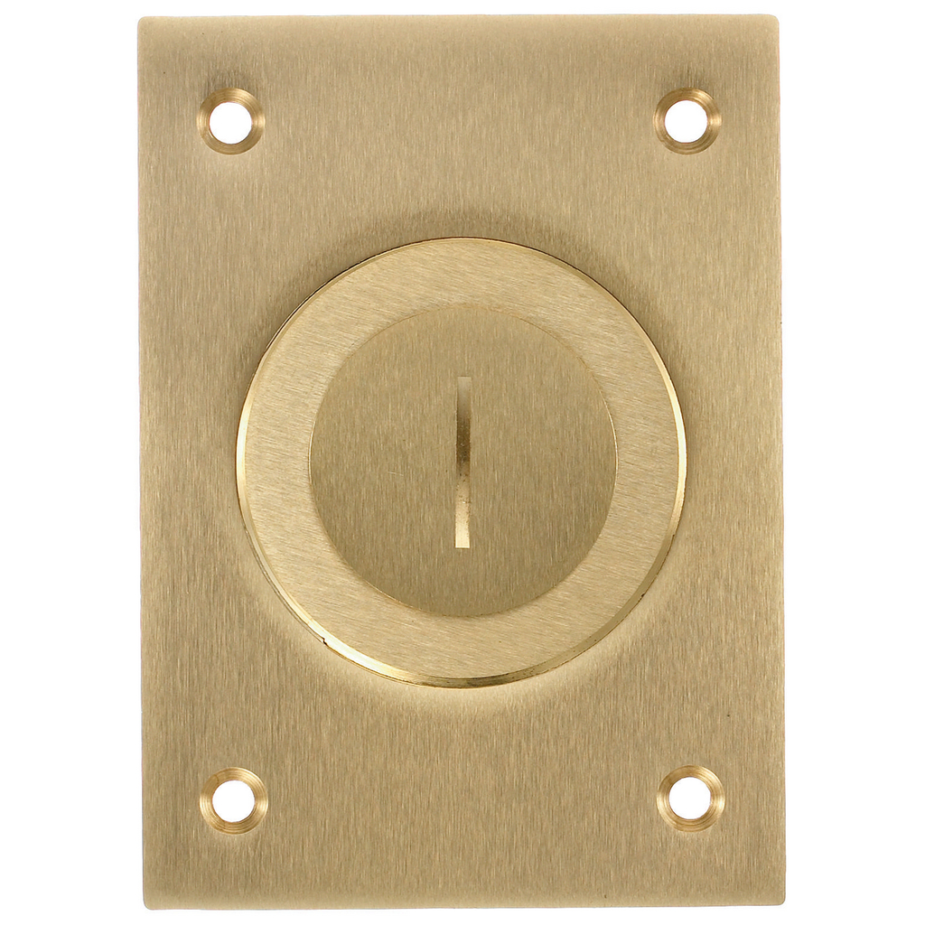1-Gang Cover, Rectangular, Combination 2-1/8"X 1" Threaded Opening, Brass