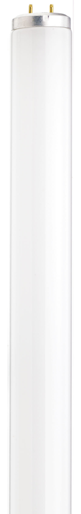 40 Watt; T12; Fluorescent; 6500K Daylight; 88 CRI; Medium Bi Pin base