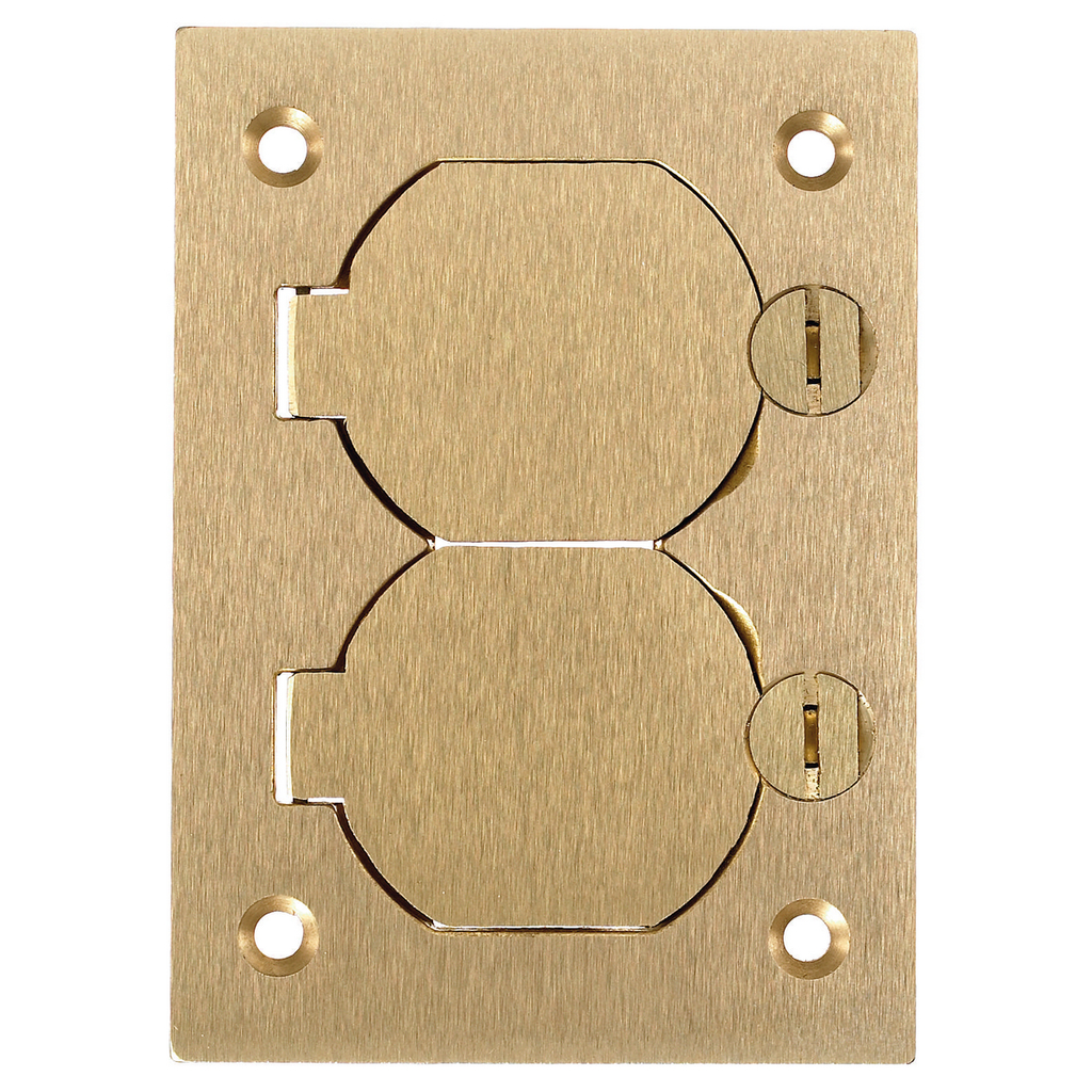 1-Gang Cover, Rectangular, Duplex Flaps, Brass