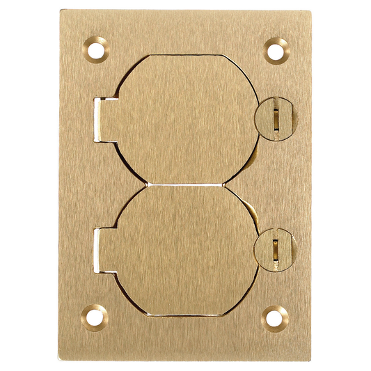 1-Gang Cover, Rectangular, Duplex Flaps, Brass