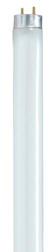 17 Watt; T8; Fluorescent; 6500K Daylight; 82 CRI; Medium Bi Pin base