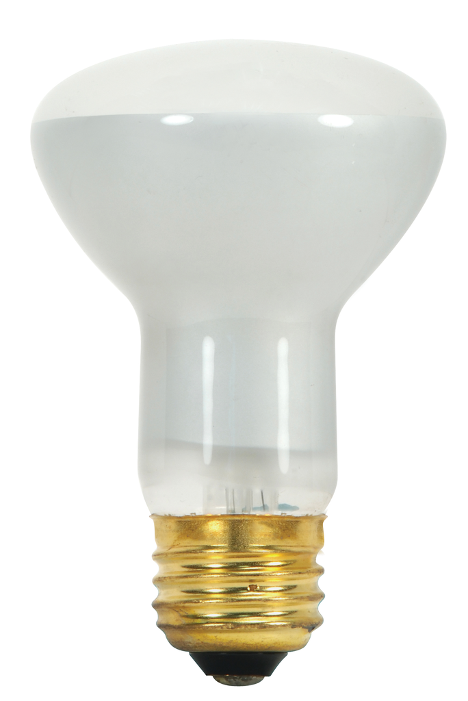 45 Watt R20 Incandescent; Frost; 2000 Average rated hours; 330 Lumens; Medium base; 120 Volt