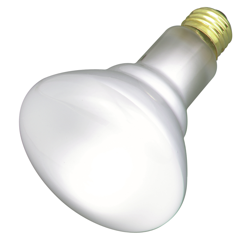 65 Watt BR30 Incandescent; Frost; 2000 Average rated hours; 685 Lumens; Medium base; 120 Volt