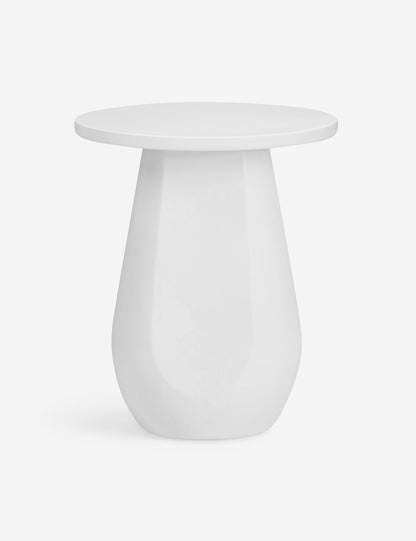 Terrell Indoor / Outdoor Round Side Table