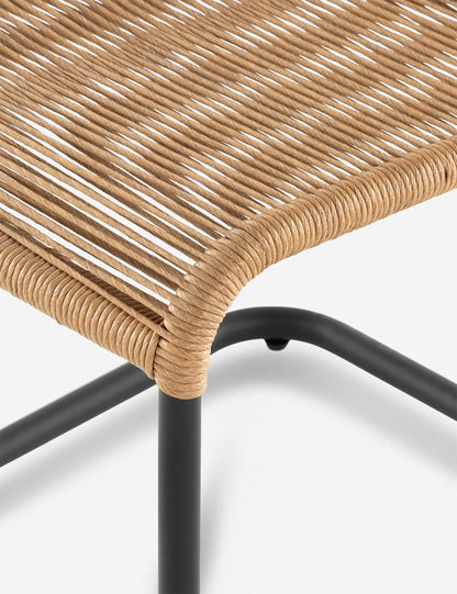 Wally Indoor / Outdoor Dining Chair