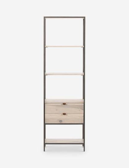Rosamonde Bookcase