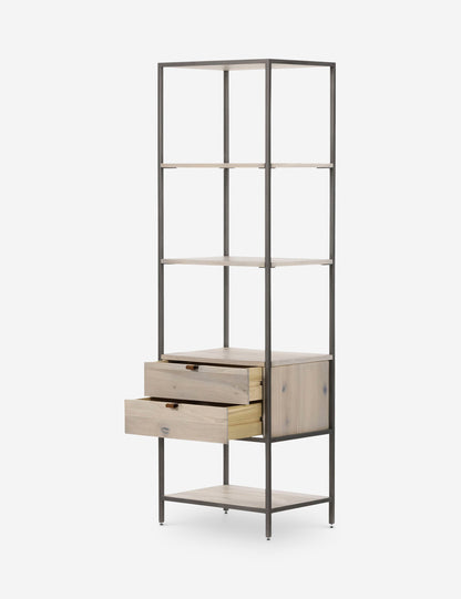 Rosamonde Bookcase