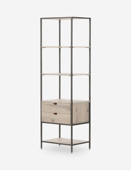Rosamonde Bookcase