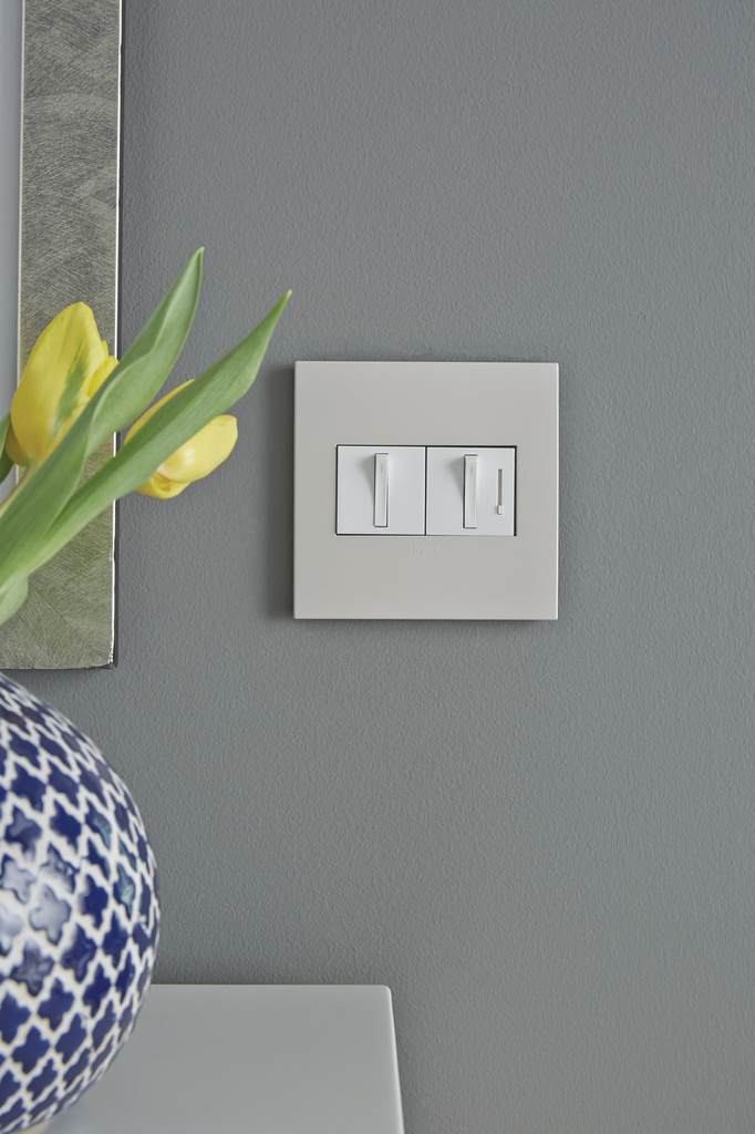 adorne® Greige 2-Gang Screwless Wall Plate