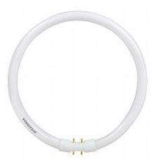 20732, Circline Fluorescent Lamp