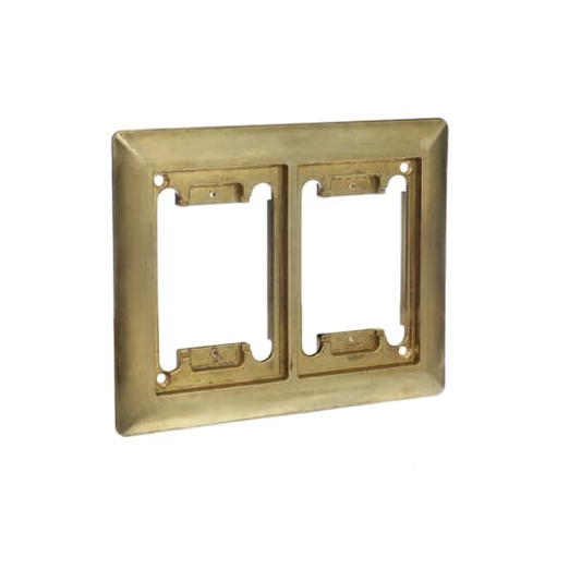 2 GANG CARPET PLT NPS PLG BRASS