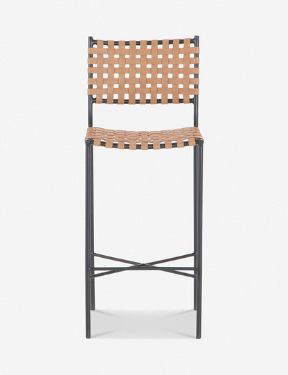 Daniel Leather Bar And Counter Stool