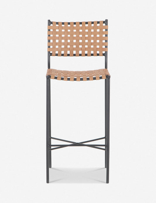 Daniel Leather Bar And Counter Stool
