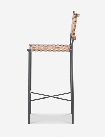Daniel Leather Bar And Counter Stool