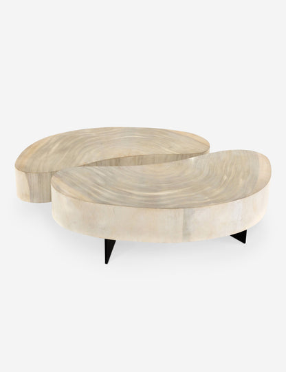 Finley Coffee Table Set