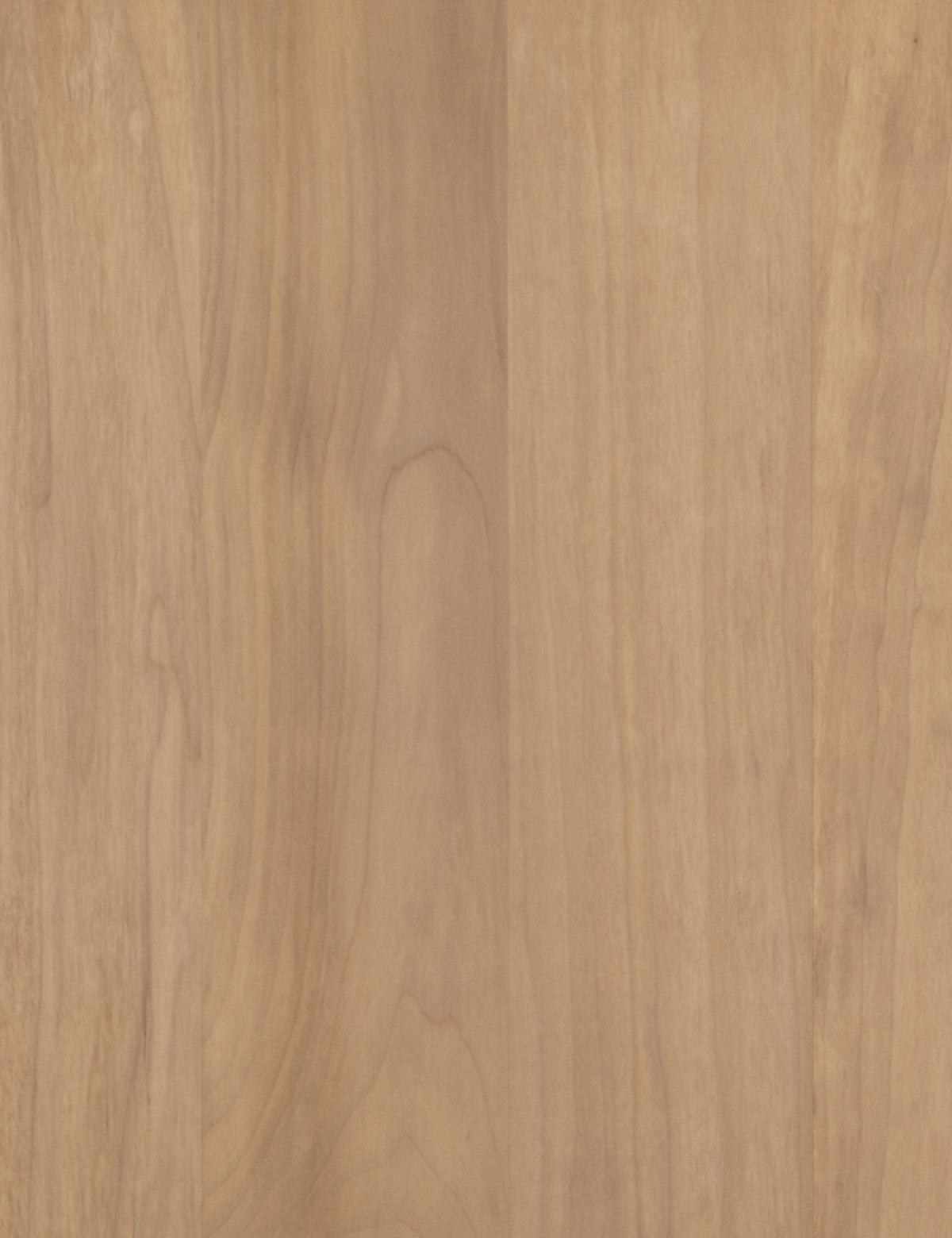 Open Box: Maeve Media Console