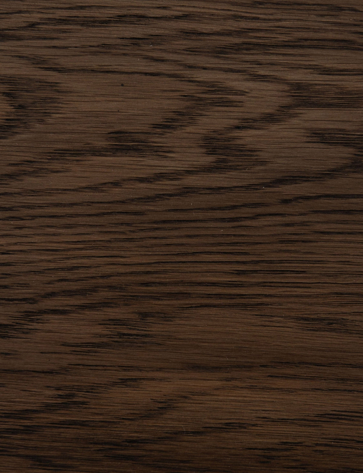 Rian Dining Chair