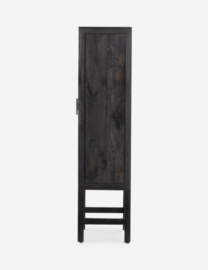 Hannah Narrow Cabinet