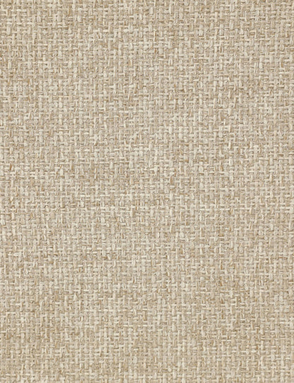 Kaitlin Indoor / Outdoor Dining Chair