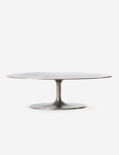 Inga Indoor / Outdoor Oval Coffee Table