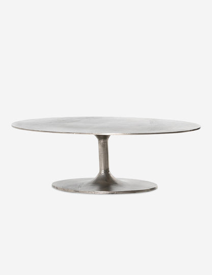 Inga Indoor / Outdoor Oval Coffee Table