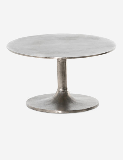 Inga Indoor / Outdoor Oval Coffee Table