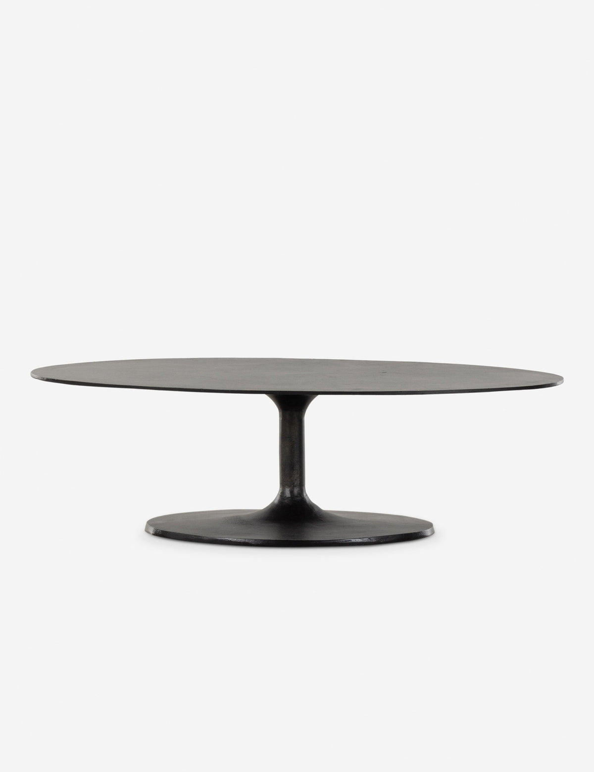 Inga Indoor / Outdoor Oval Coffee Table