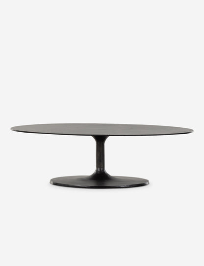 Inga Indoor / Outdoor Oval Coffee Table