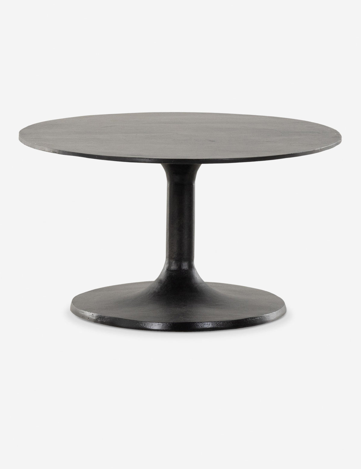 Inga Indoor / Outdoor Oval Coffee Table