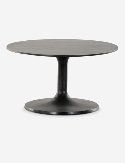 Inga Indoor / Outdoor Oval Coffee Table