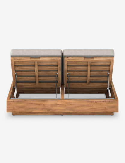 Minnette Indoor / Outdoor Double Chaise