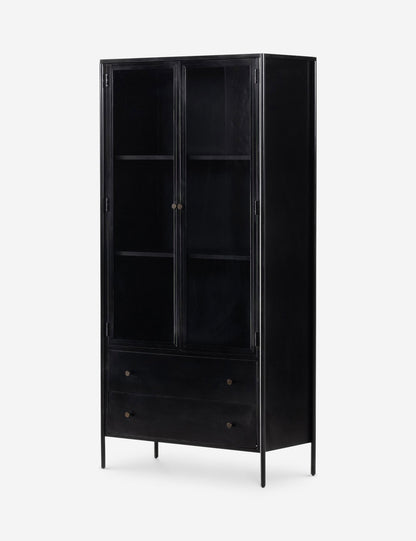 Mathus Curio Cabinet
